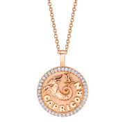 CAPRICORN ZODIAC COIN PENDANT WITH DIAMOND FRAME