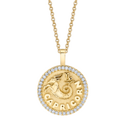 CAPRICORN ZODIAC COIN PENDANT WITH DIAMOND FRAME